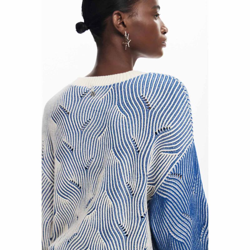 Desigual Ottawwa Jersey image number 2